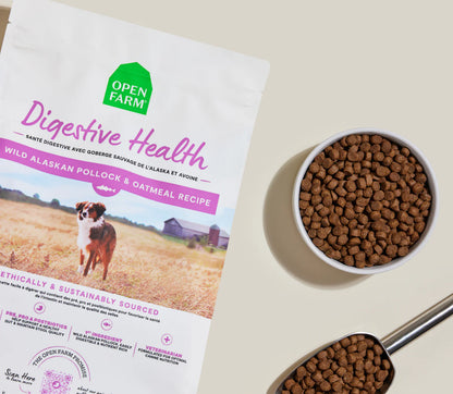 Open Farm Digestive Health Recipe