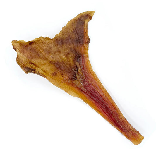 Ostrich Tendons (3 Pack)