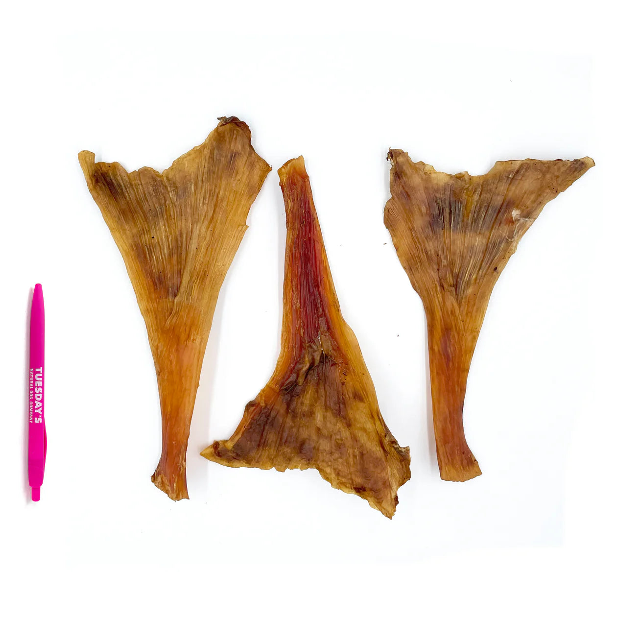 Ostrich Tendon - 1pc