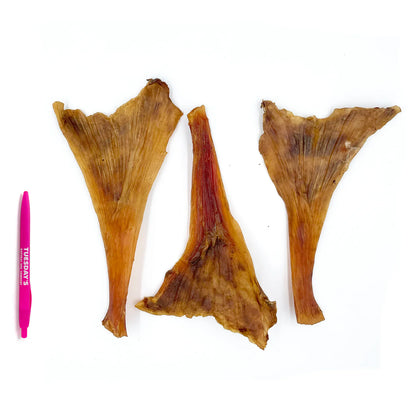 Ostrich Tendon - 1pc