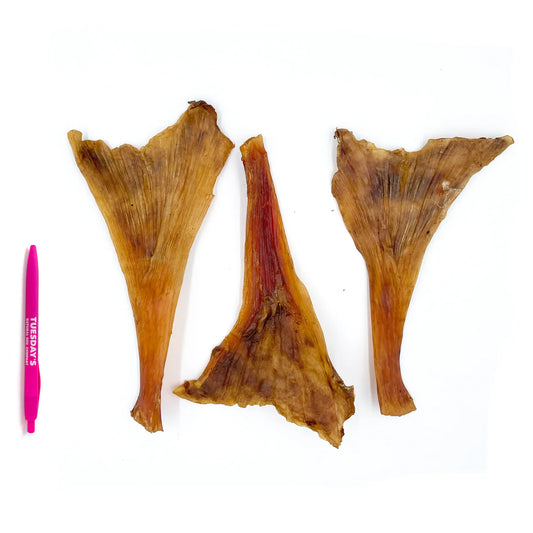 Ostrich Tendon - 1pc