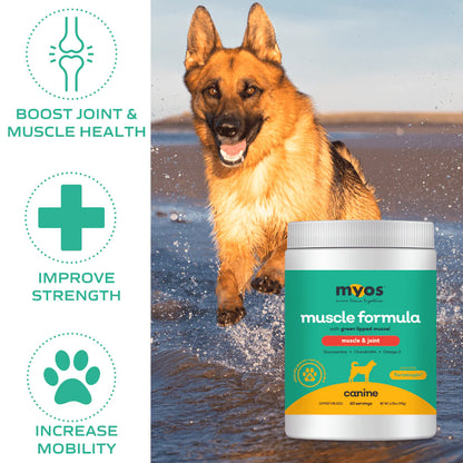 MYOS Canine Muscle & Joint Formula - Performance Dog Supply