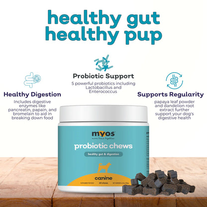 MYOS Probiotic Chews - Gut & Digestion - Performance Dog Supply