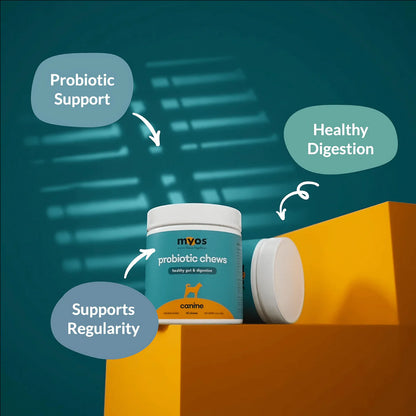 MYOS Probiotic Chews - Gut & Digestion - Performance Dog Supply