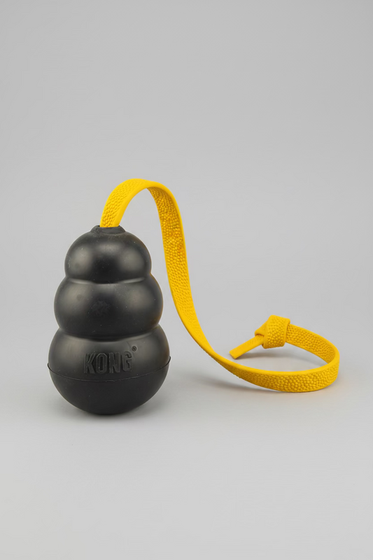 Pebble Handle Tug w/Kong