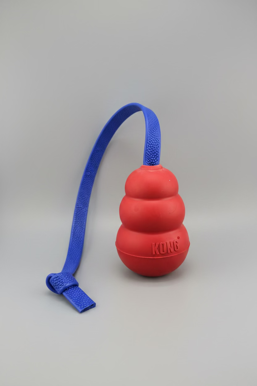 Pebble Handle Tug w/Kong