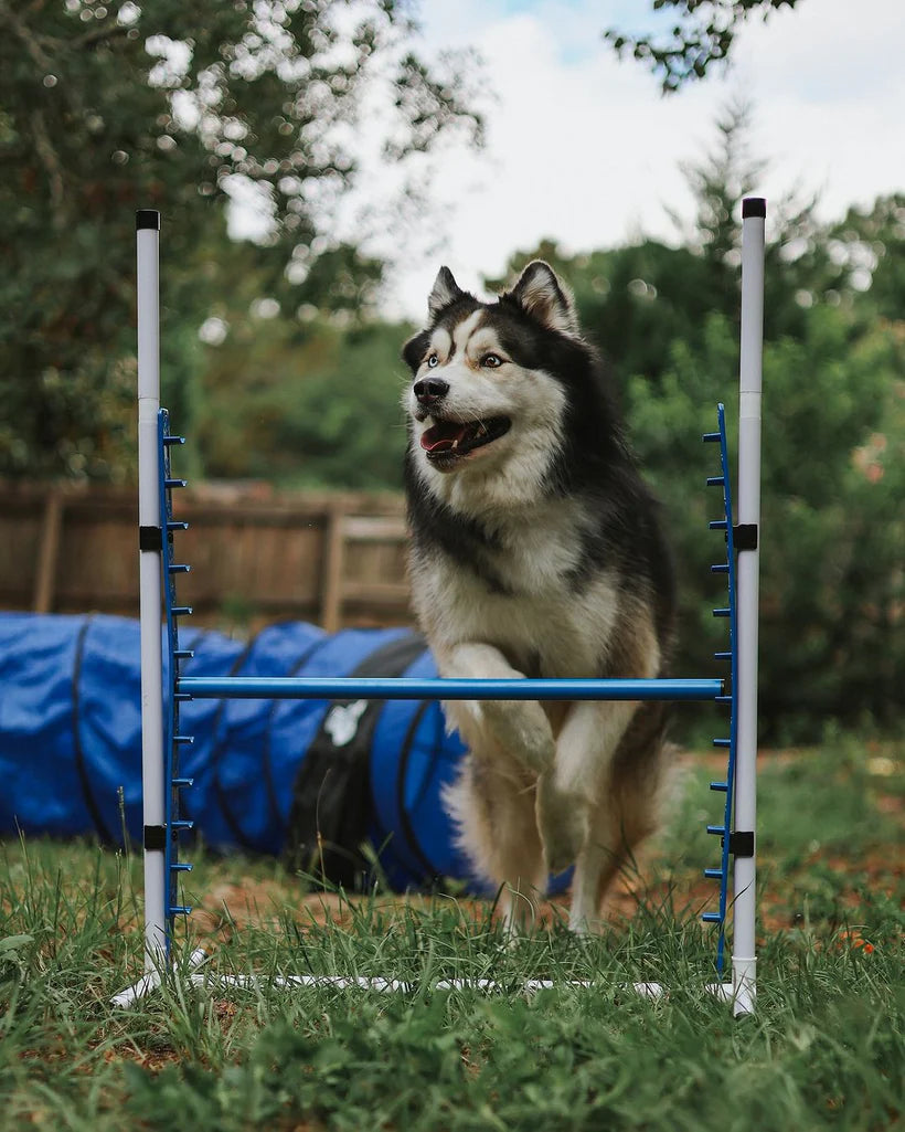 7 Piece Dog Agility Equipment Set
