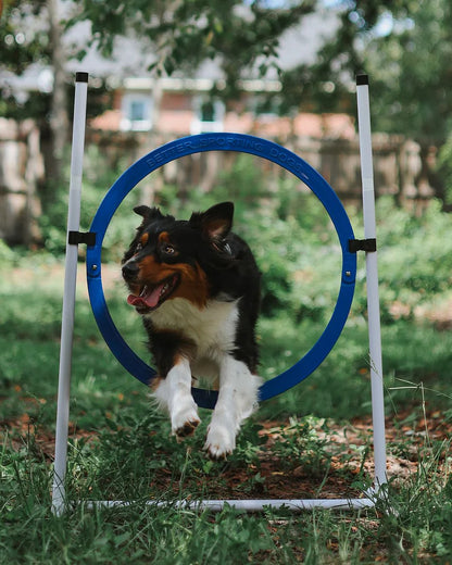7 Piece Dog Agility Equipment Set