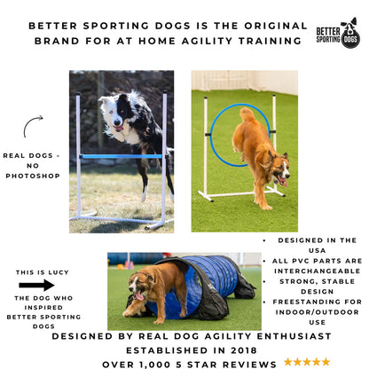 Original 5 Piece Complete Starter Agility Set for Dogs