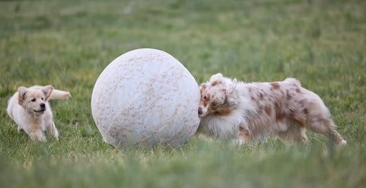 25” Heavy Duty Sheep Lookalike Herding Ball For Dogs