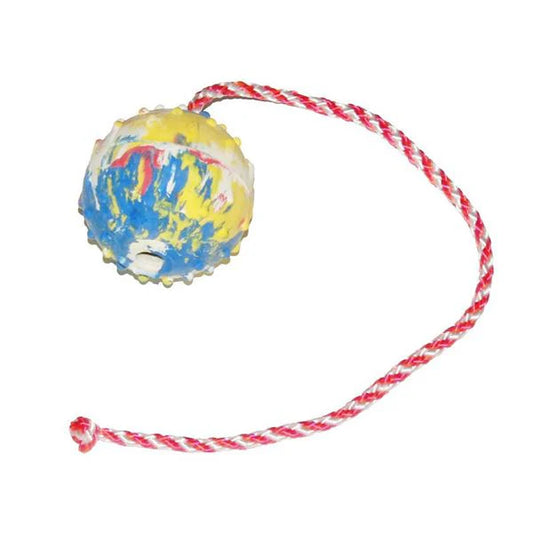 GAPPAY - 3” Training Ball On Rope (Hollow)
