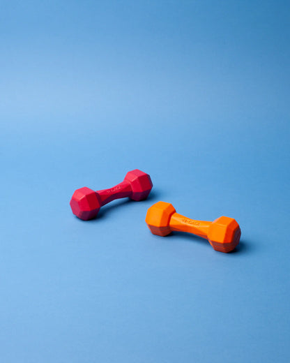 N-Gage Dumbbell Junior