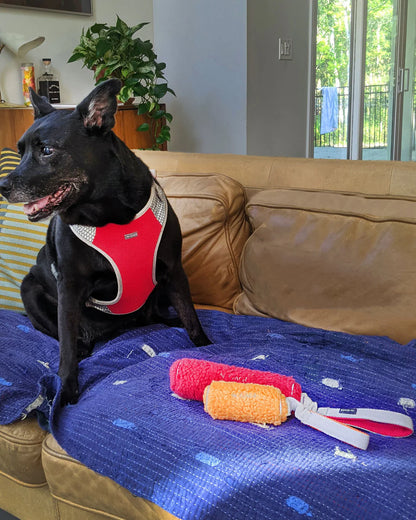 N-Gage Soft Bumper Regular