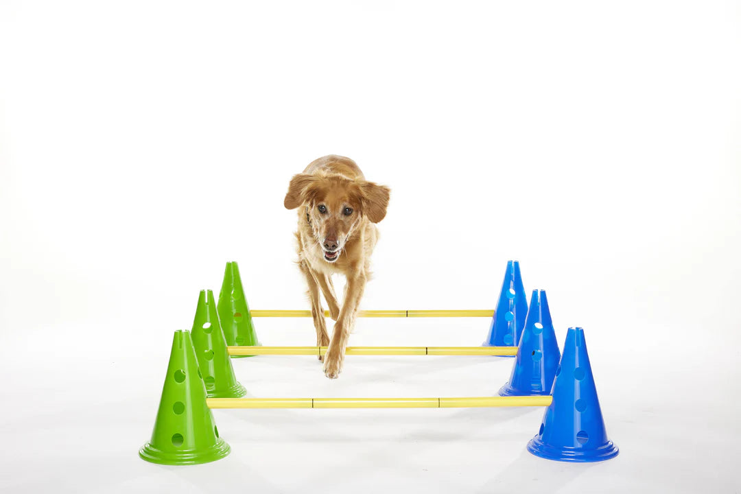 FitPAWS - FitPaws K9 Cavaletti Set