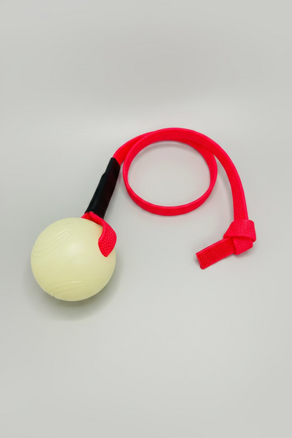 Pebble Handle Tug w/ Glow Chuck-It Ball