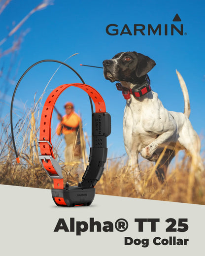 Garmin Alpha TT25 Tracking Collar
