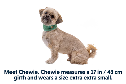 Swamp Cooler - Cooling Neck Gaiter - Performance Dog Supply