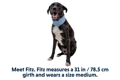 Swamp Cooler - Cooling Neck Gaiter - Performance Dog Supply