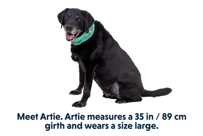 Swamp Cooler - Cooling Neck Gaiter - Performance Dog Supply