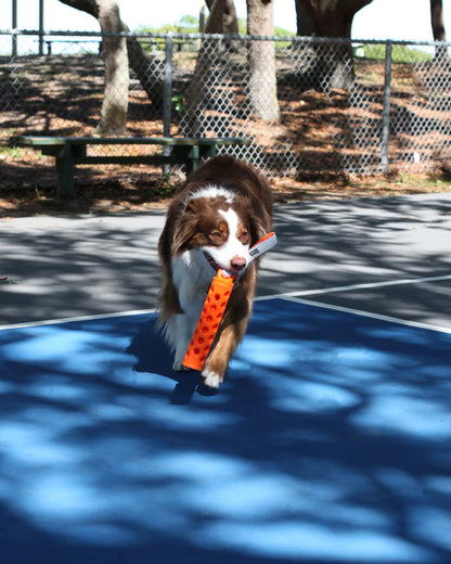 N-Gage Active Bumper