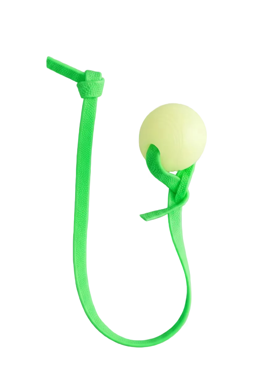Pebble Handle Tug w/ Glow Chuck-It Ball