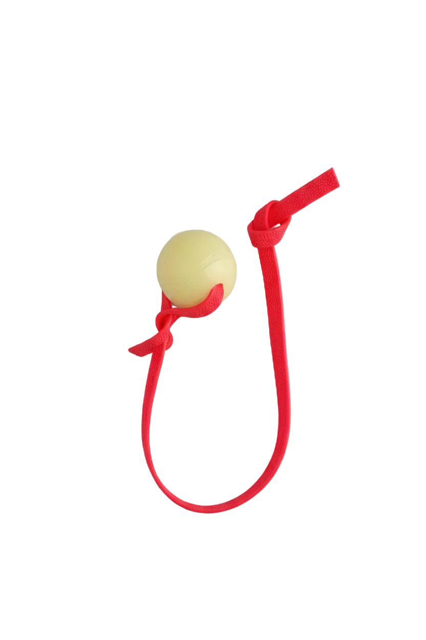 Pebble Handle Tug w/ Glow Chuck-It Ball