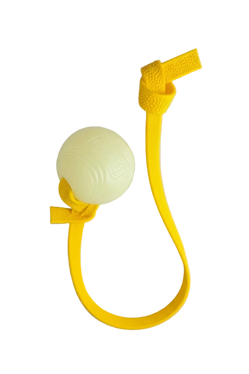 Pebble Handle Tug w/ Glow Chuck-It Ball