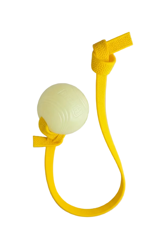 Pebble Handle Tug w/ Glow Chuck-It Ball