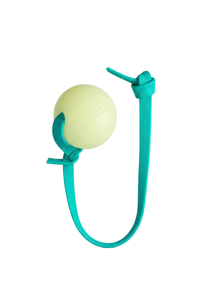 Pebble Handle Tug w/ Glow Chuck-It Ball