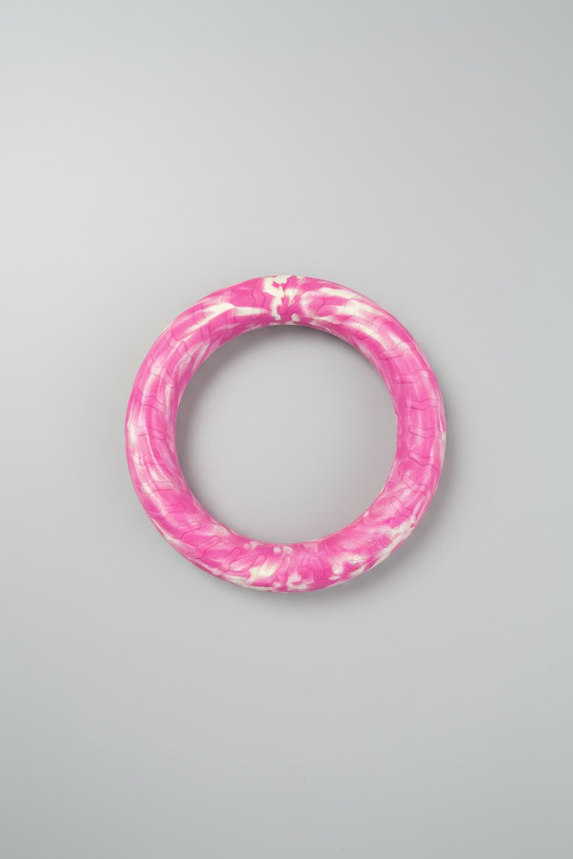 Fitness Foam Ring Toys