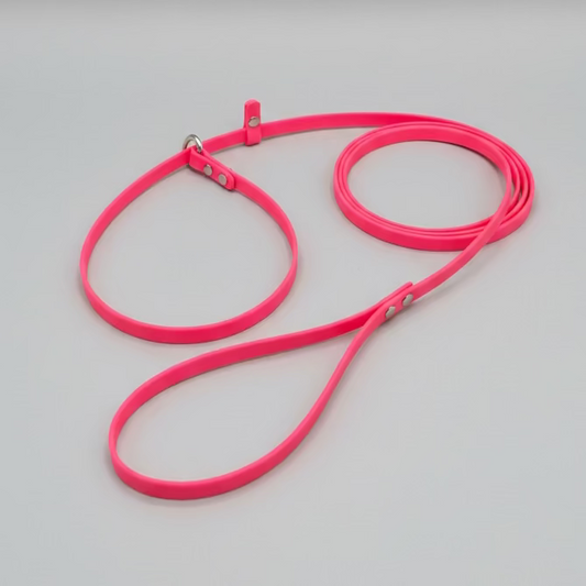 3/8" Biothane Slip Leash