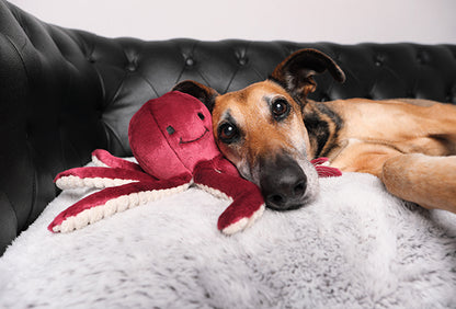 Fluff & Tuff - Olympia Octopus - Performance Dog Supply