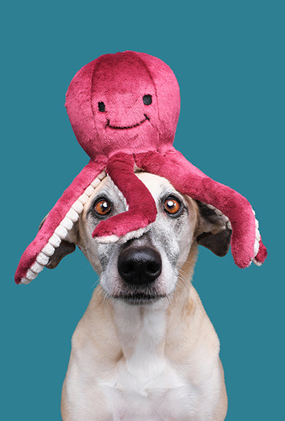Fluff & Tuff - Olympia Octopus - Performance Dog Supply