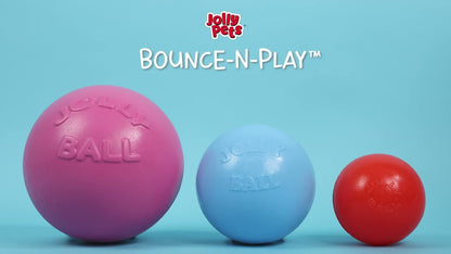 Jolly Pets Bounce-n-Play