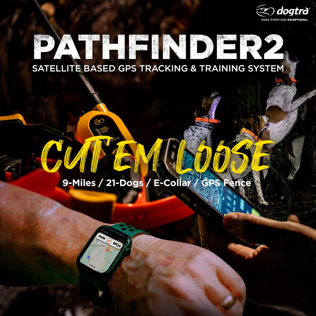 Dogtra PATHFINDER2