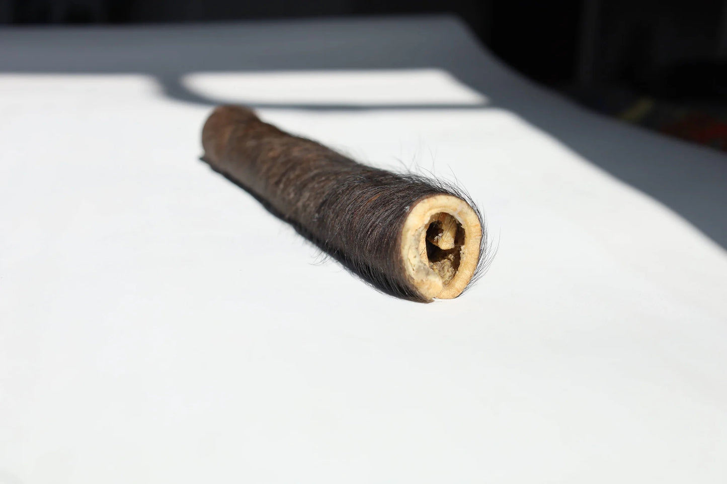 TREAT BAR - Water Buffalo Cheek Roll - 1 PIECE