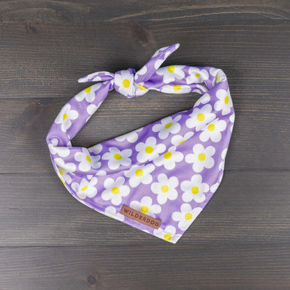 Daisy Bandana - Performance Dog Supply