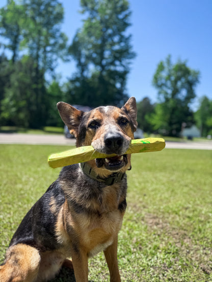 Gnawt-A-Stick - Performance Dog Supply