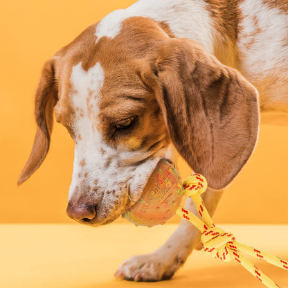 FDT Solid Rubber Reward Ball - Performance Dog Supply