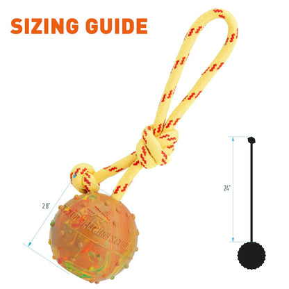 FDT Solid Rubber Reward Ball - Performance Dog Supply
