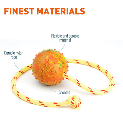 FDT Solid Rubber Reward Ball - Performance Dog Supply