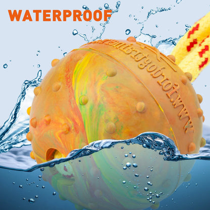 FDT Solid Rubber Reward Ball - Performance Dog Supply