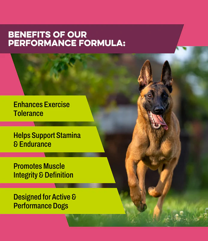 K9 Power Superfuel
