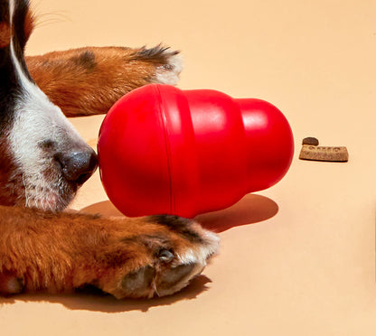 Kong Wobbler Food Dispenser