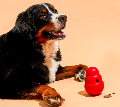 Kong Wobbler Food Dispenser