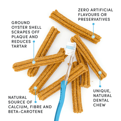 Crumps Plaque Busters Pumpkin Spice Dental Sticks