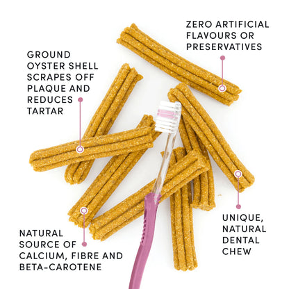 Crumps Dental 7” Plaque Busters - Performance Dog Supply