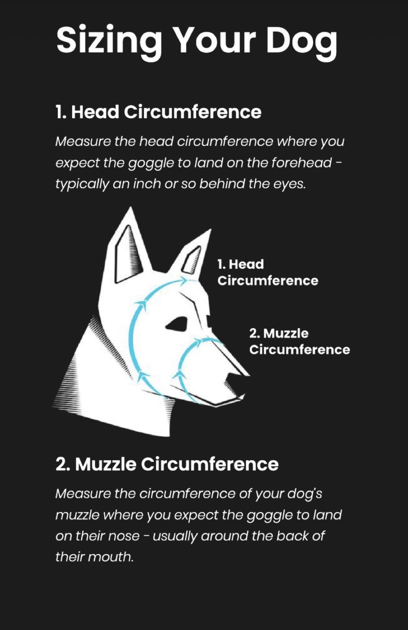 rex specs v2 dog goggles Medium V2 Rex Specs – Performance Dog Supply