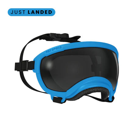 Extra Large V2 Rex Specs