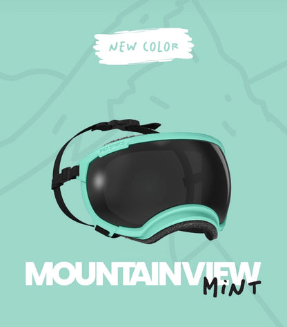 Extra Large V2 Rex Specs